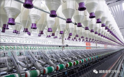 越南工贸部决定对原产于中国等地的聚酯长丝纱线产品的反倾销措施进行审查